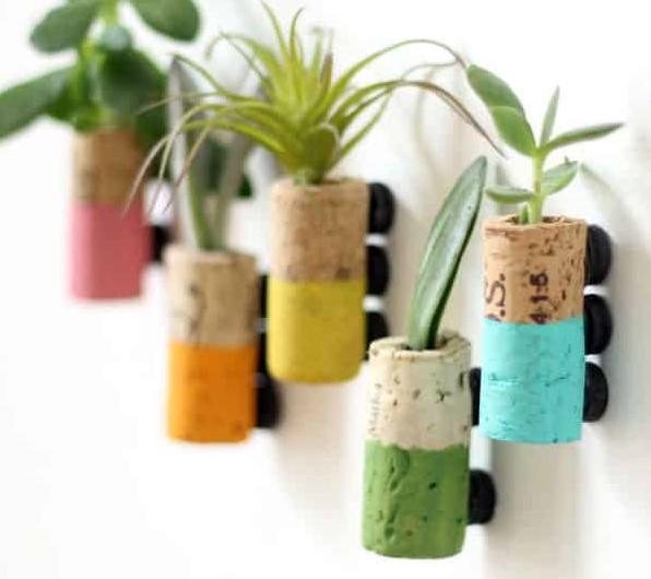 Image for event: Craft: Wine Cork Succulent Magnets